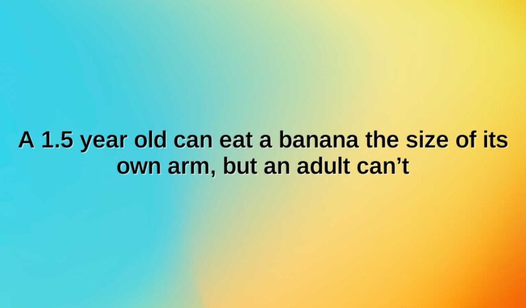 a 1.5 year old can eat a banana the size of its own arm but an adult cant