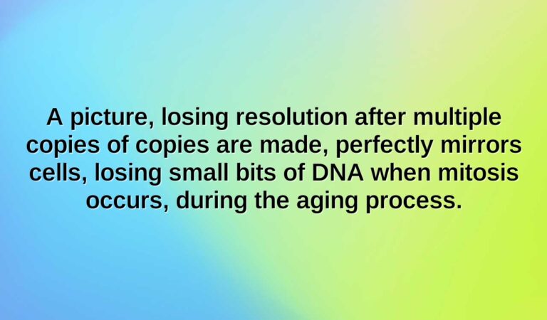 a picture losing resolution after multiple copies of copies are made perfectly mirrors cells losing small bits of dna when mitosis occurs during the aging process.