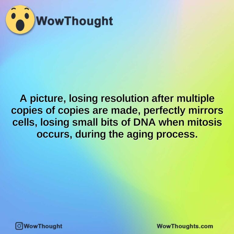 a picture losing resolution after multiple copies of copies are made perfectly mirrors cells losing small bits of dna when mitosis occurs during the aging process.