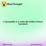 a quesadilla is a really flat grilled cheese sandwich