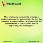 after one barely survives the process of getting marooned on a desert isle the fact that coconuts are encased in a rock hard shell and grow way out of reach seems like an especially harsh fuck yo