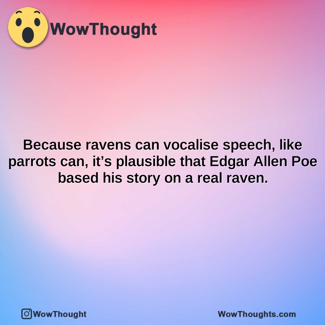 because ravens can vocalise speech like parrots can its plausible that edgar allen poe based his story on a real raven.
