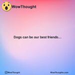 dogs can be our best friends