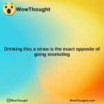 drinking thru a straw is the exact opposite of going snorkeling