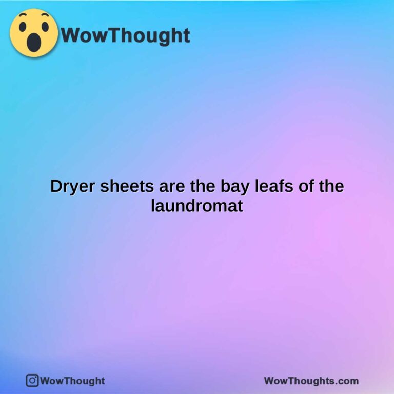 dryer sheets are the bay leafs of the laundromat