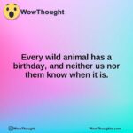 Every wild animal has a birthday, and neither us nor them know when it is.