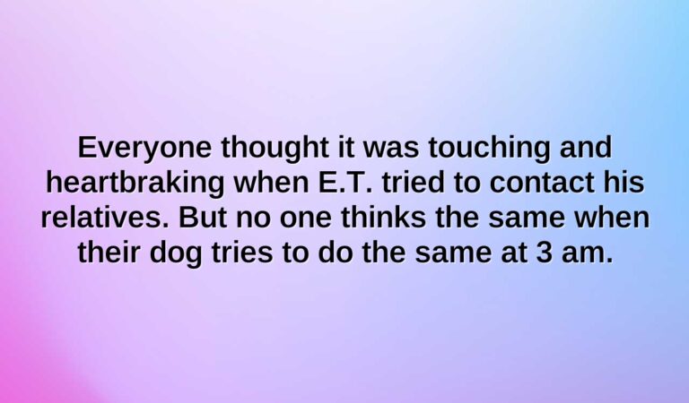 everyone thought it was touching and heartbraking when e.t. tried to contact his relatives. but no one thinks the same when their dog tries to do the same at 3 am.