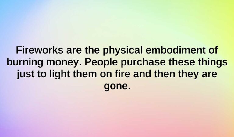 fireworks are the physical embodiment of burning money. people purchase these things just to light them on fire and then they are gone.