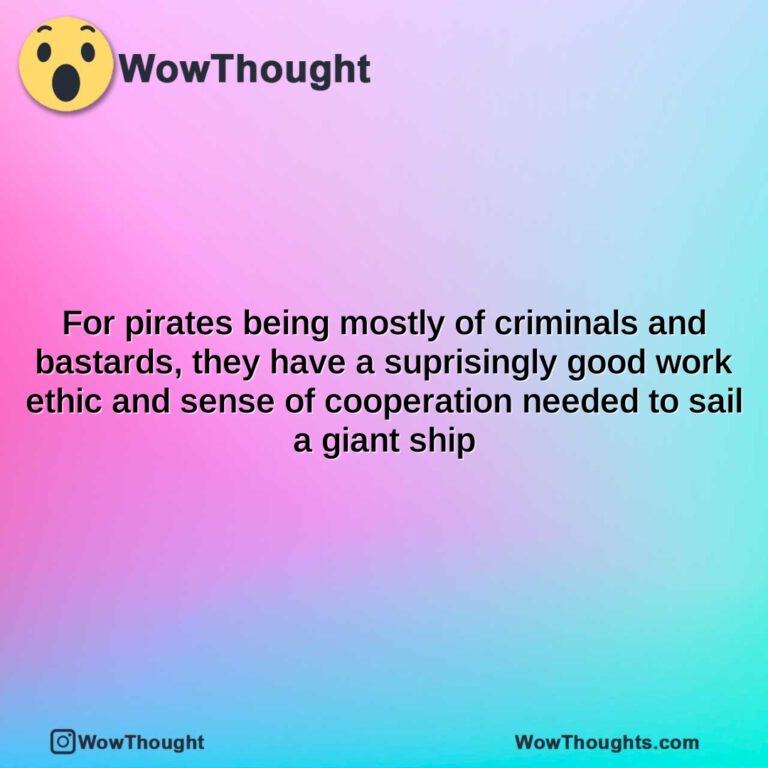 for pirates being mostly of criminals and bastards they have a suprisingly good work ethic and sense of cooperation needed to sail a giant ship