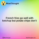 French fries go well with ketchup but potato chips don’t