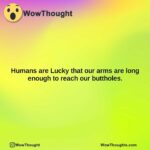 humans are lucky that our arms are long enough to reach our buttholes.