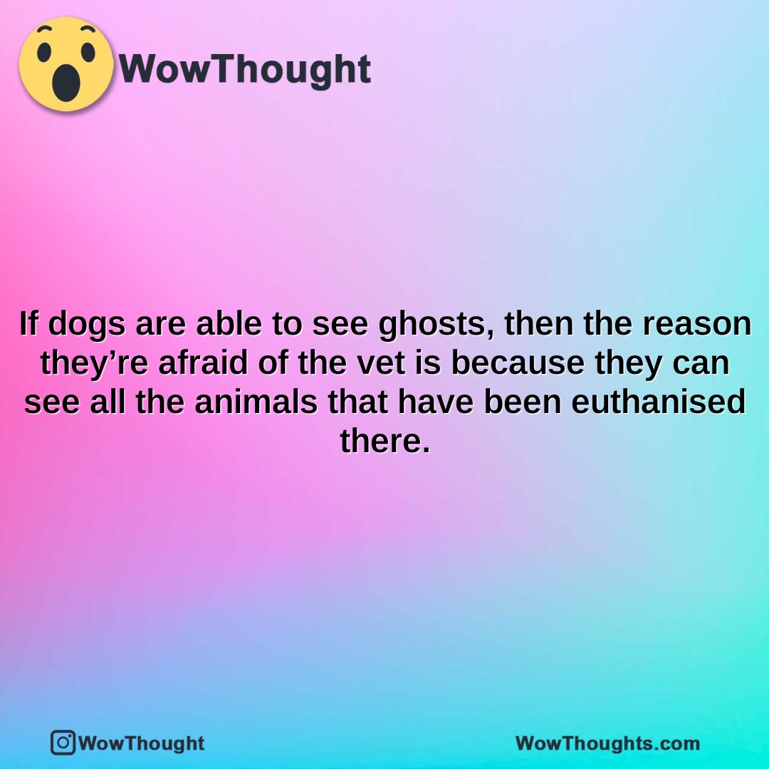 if dogs are able to see ghosts then the reason theyre afraid of the vet is because they can see all the animals that have been euthanised there.