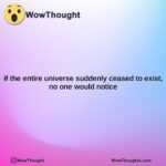 if the entire universe suddenly ceased to exist no one would notice
