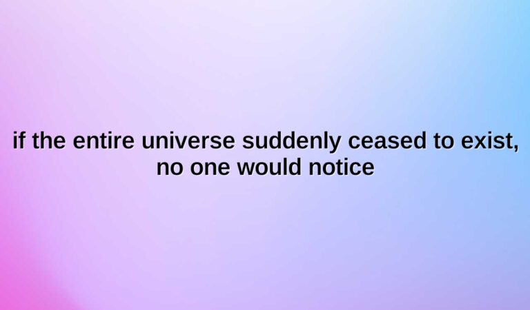 if the entire universe suddenly ceased to exist no one would notice