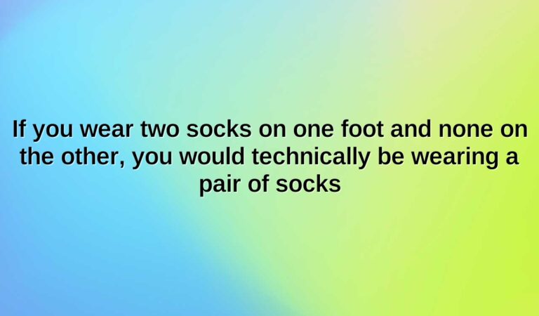 if you wear two socks on one foot and none on the other you would technically be wearing a pair of socks