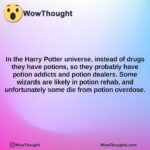 in the harry potter universe instead of drugs they have potions so they probably have potion addicts and potion dealers. some wizards are likely in potion rehab and unfortunately some die from po