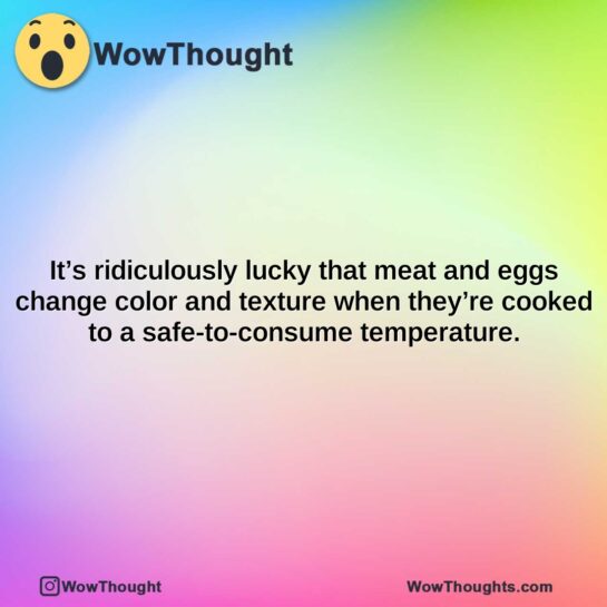 its ridiculously lucky that meat and eggs change color and texture when theyre cooked to a safe to consume temperature.