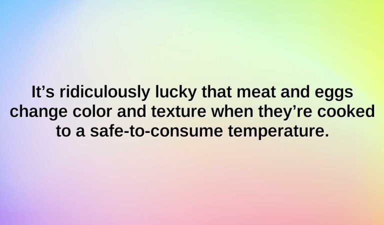 its ridiculously lucky that meat and eggs change color and texture when theyre cooked to a safe to consume temperature.
