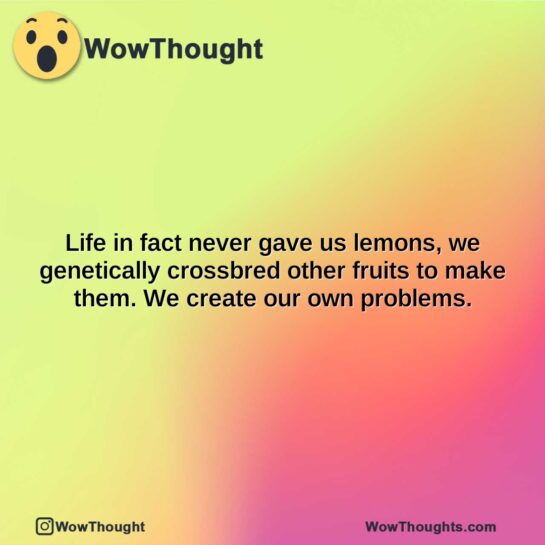 life in fact never gave us lemons we genetically crossbred other fruits to make them. we create our own problems.1