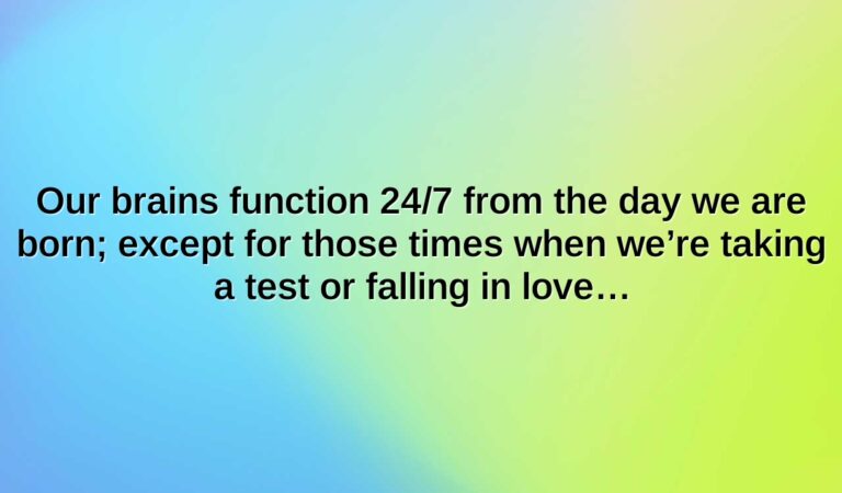 Our brains function 24/7 from the day we are born; except for those times when we’re taking a test or falling in love…