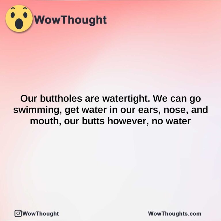 our buttholes are watertight. we can go swimming get water in our ears nose and mouth our butts however no water