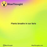 plants breathe in our farts