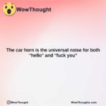 the car horn is the universal noise for both hello and fuck you