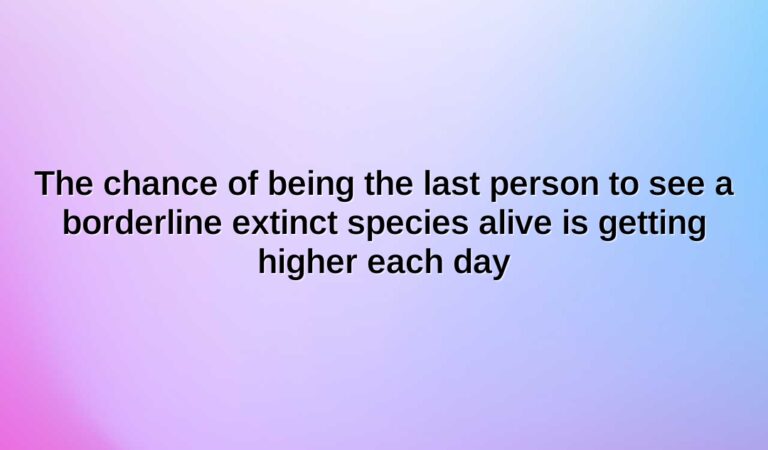 the chance of being the last person to see a borderline extinct species alive is getting higher each day