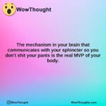 the mechanism in your brain that communicates with your sphincter so you dont shit your pants is the real mvp of your body.