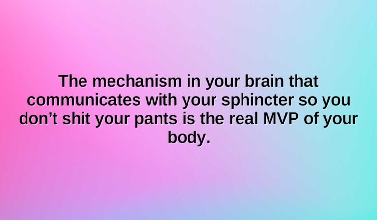 the mechanism in your brain that communicates with your sphincter so you dont shit your pants is the real mvp of your body.