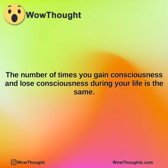 the number of times you gain consciousness and lose consciousness during your life is the same.