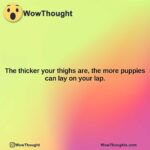 the thicker your thighs are the more puppies can lay on your lap.