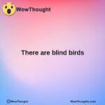 there are blind birds