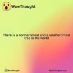 there is a northernmost and a southernmost tree in the world