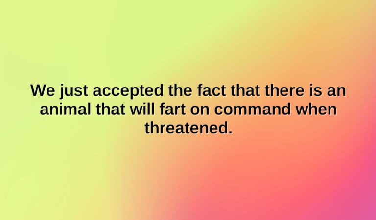 we just accepted the fact that there is an animal that will fart on command when threatened.