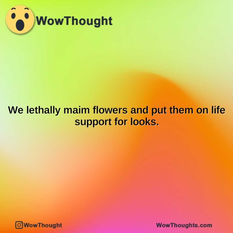 we lethally maim flowers and put them on life support for looks.