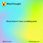 wood doesnt have a melting point