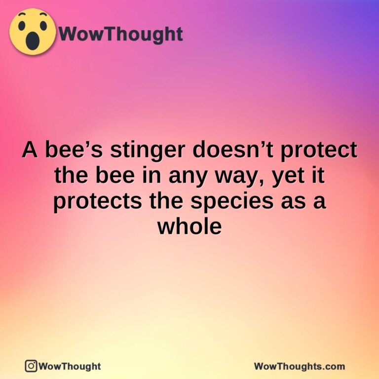 A bee’s stinger doesn’t protect the bee in any way, yet it protects the species as a whole