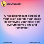 A not insignificant portion of your brain spends your entire life removing your nose from everything you see and remember