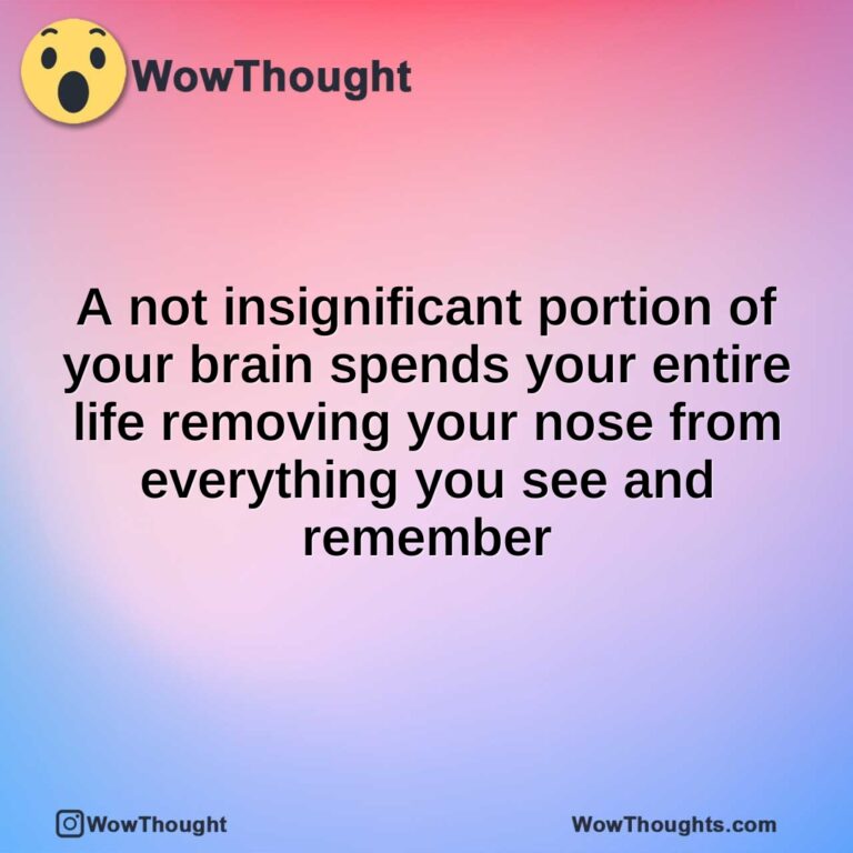 A not insignificant portion of your brain spends your entire life removing your nose from everything you see and remember