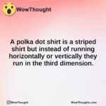 A polka dot shirt is a striped shirt but instead of running horizontally or vertically they run in the third dimension.