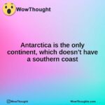 Antarctica is the only continent, which doesn’t have a southern coast