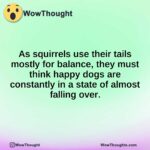 As squirrels use their tails mostly for balance, they must think happy dogs are constantly in a state of almost falling over.