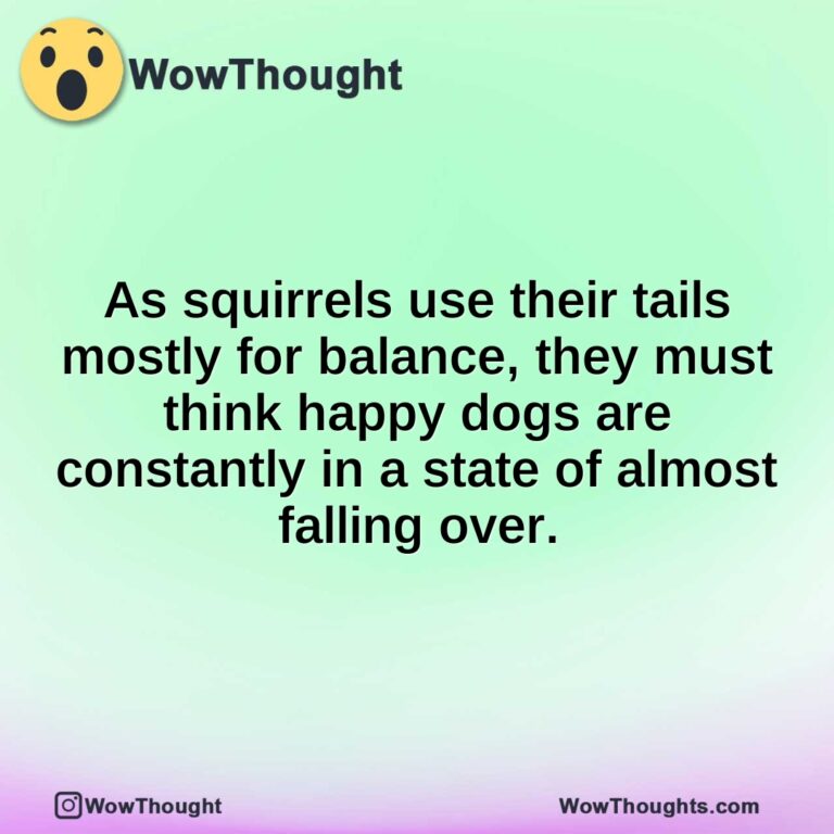 As squirrels use their tails mostly for balance, they must think happy dogs are constantly in a state of almost falling over.