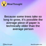 Because some trees take so long to grow, it’s possible the average piece of paper is technically older than the average person
