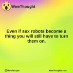 Even if sex robots become a thing you will still have to turn them on.