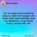 For an organ that evolved to keep us safe from danger, the brain really likes activities that are dangerous. (e.g. doing drugs, driving fast, etc.