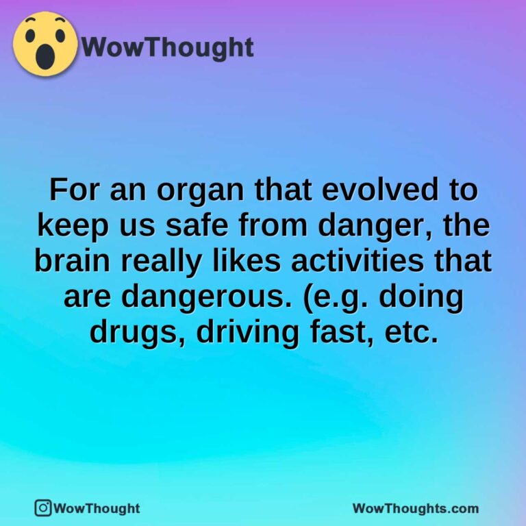 For an organ that evolved to keep us safe from danger, the brain really likes activities that are dangerous. (e.g. doing drugs, driving fast, etc.