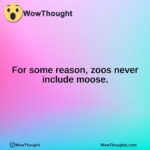 For some reason, zoos never include moose.