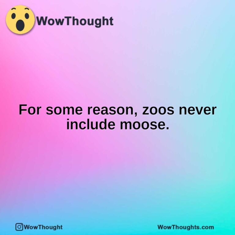 For some reason, zoos never include moose.